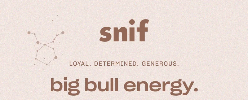 big bull energy