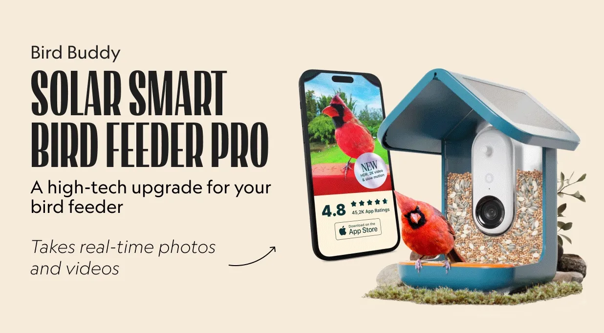 Solar Smart Bird Feeder Pro