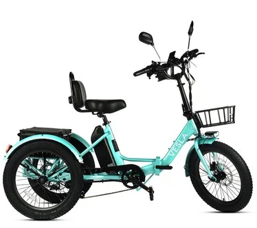 Vesla Folding Low-Step 750W E-Trike w/16MPH Speed & Accessories