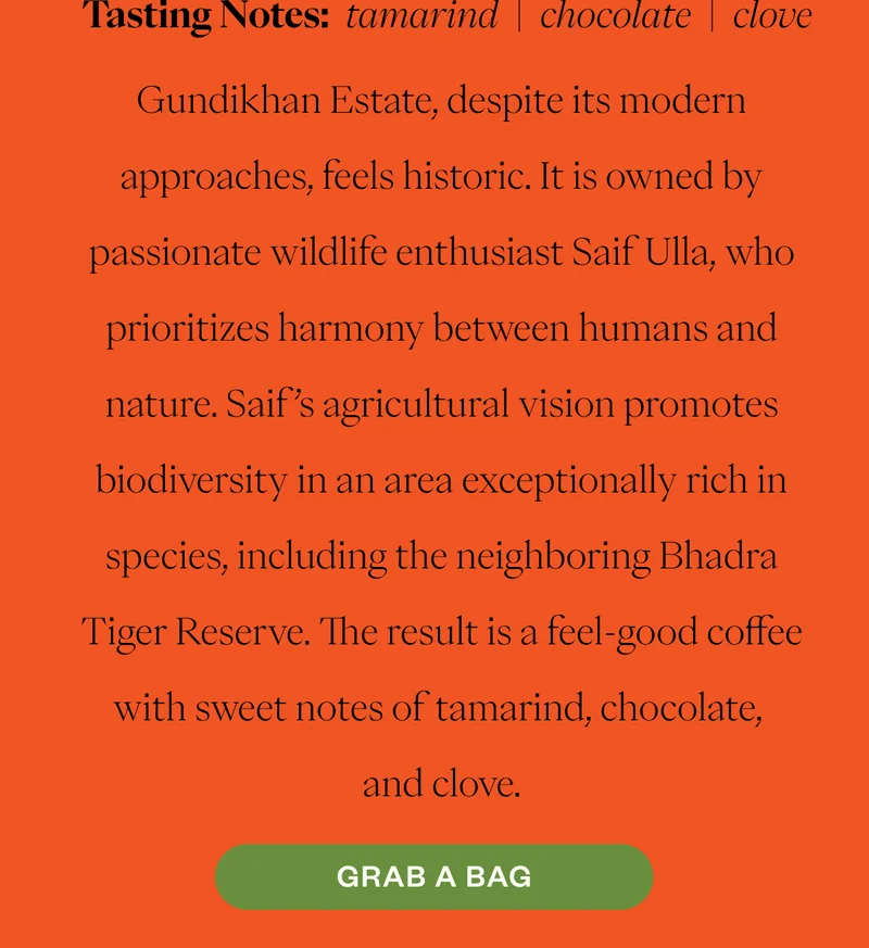 Tasting Notes: tamarind | chocolate | clove Save $1 all month! Gundikhan Estate, despite its modern approaches, feels historic. It is owned by passionate wildlife enthusiast Saif Ulla, who prioritizes harmony between humans and nature. Saif’s agricultural vision promotes biodiversity in an area exceptionally rich in species, including the neighboring Bhadra Tiger Reserve. The result is a feel-good coffee with sweet notes of tamarind, chocolate, and clove. CTA: Grab a Bag