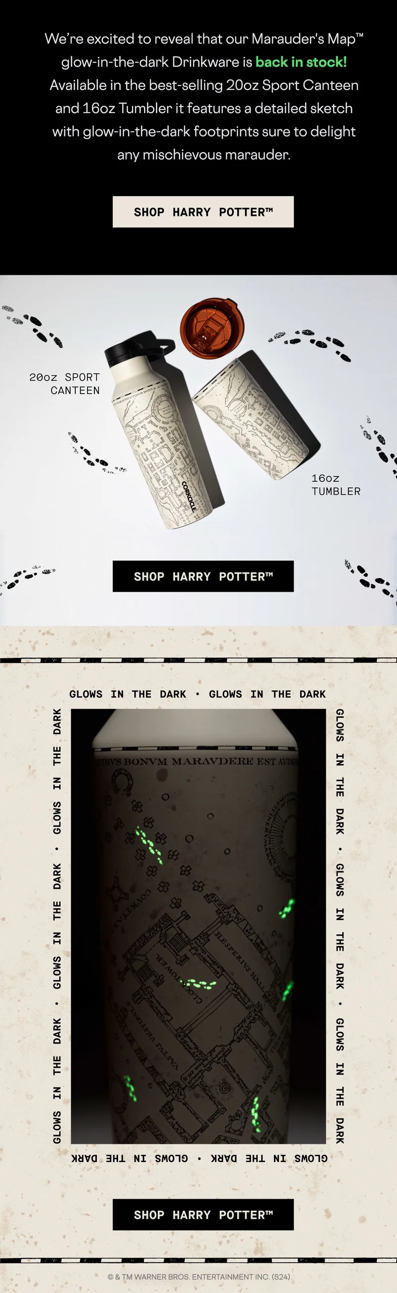 Shop Marauder's Map Back In Stock