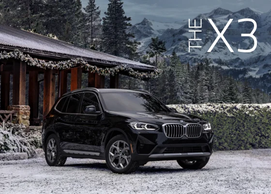 The BMW X3 parked in front of snow covered trees with mountains in the back. The X3.