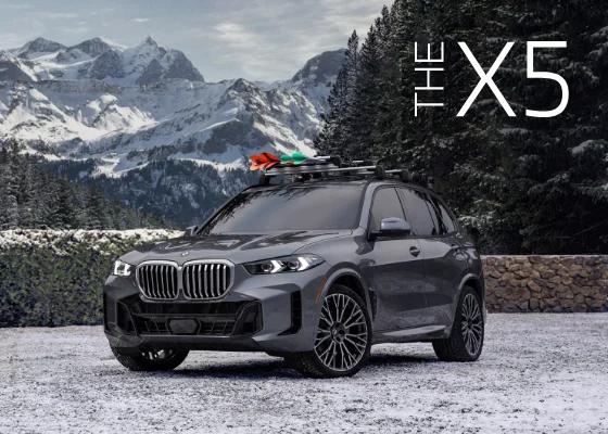 The BMW X5 parked in front of snow covered trees with mountains in the back. The X5.
