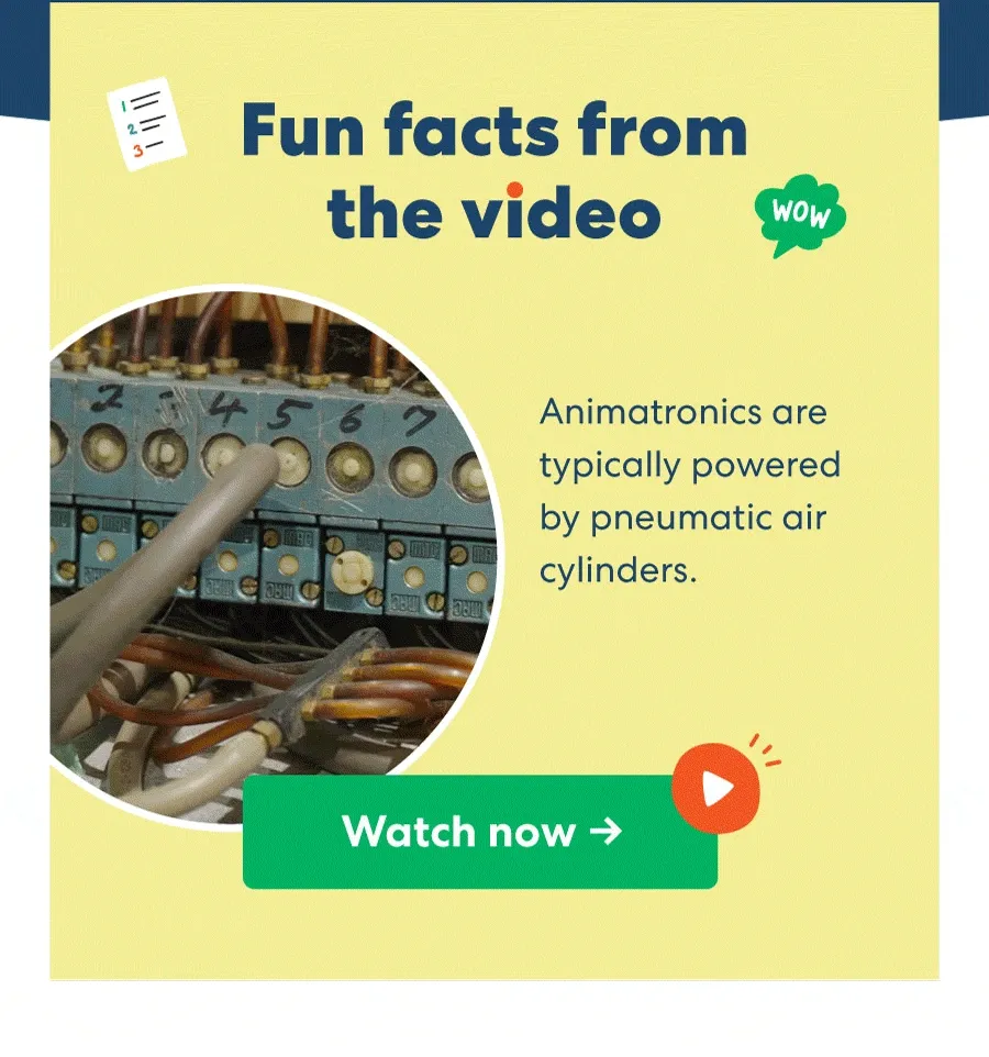 Fun facts from the video Fun facts from the video