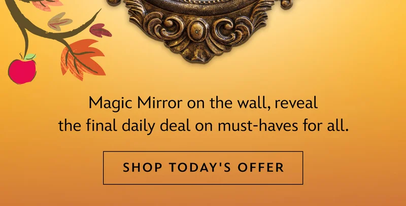 Magic Mirror on the wall, reveal the final daily deal on must-haves for all. | Shop Today's Offer