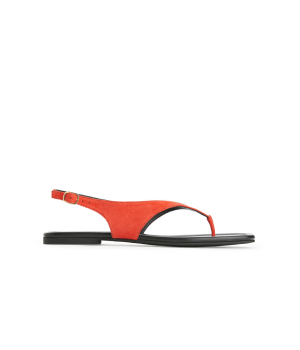 Product 5