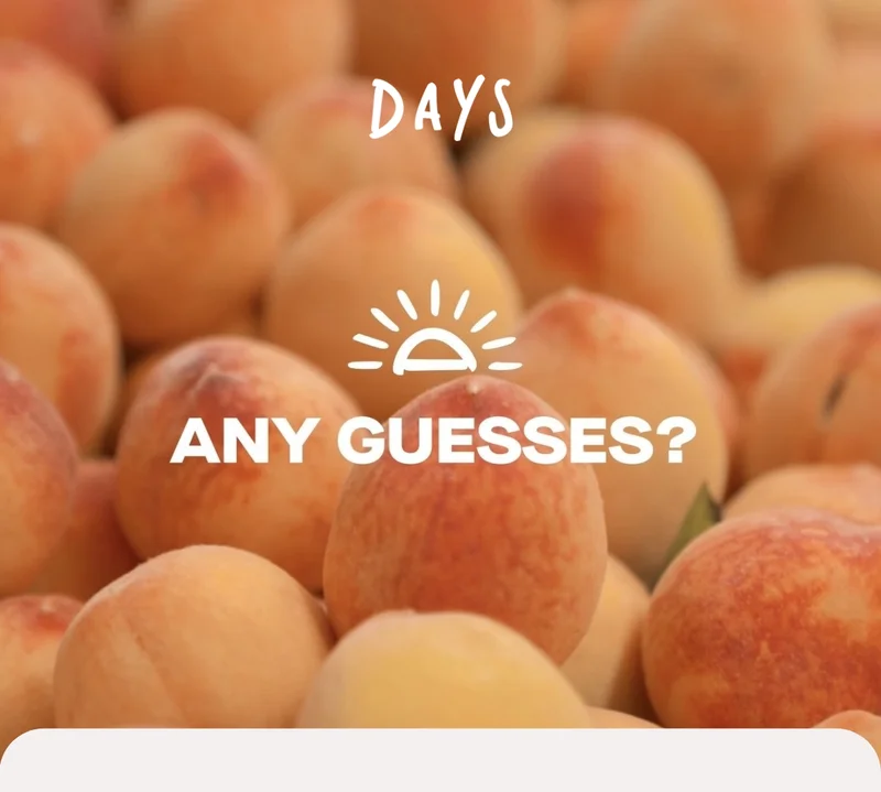 Any guesses?
