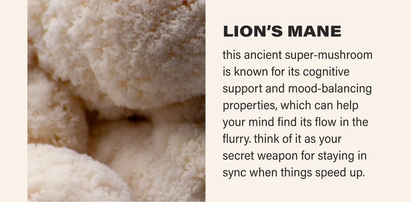LION’S MANE this ancient super-mushroom is known for its cognitive support and mood-balancing properties, which can help your mind find its flow in the flurry. think of it as your secret weapon for staying in sync when things speed up.