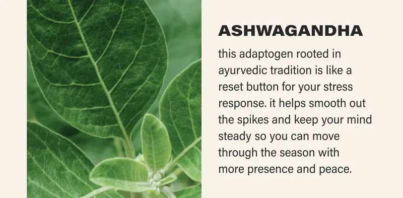 ASHWAGANDHA this adaptogen rooted in ayurvedic tradition is like a reset button for your stress response. it helps smooth out the spikes and keep your mind steady so you can move through the season with  more presence and peace.