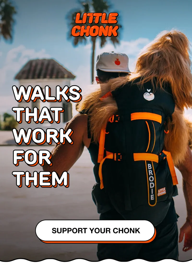 WALKS THAT WORK FOR THEM