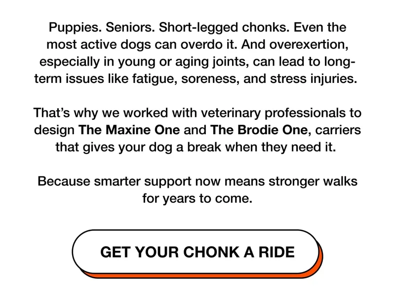 Get Your Chonk a Ride