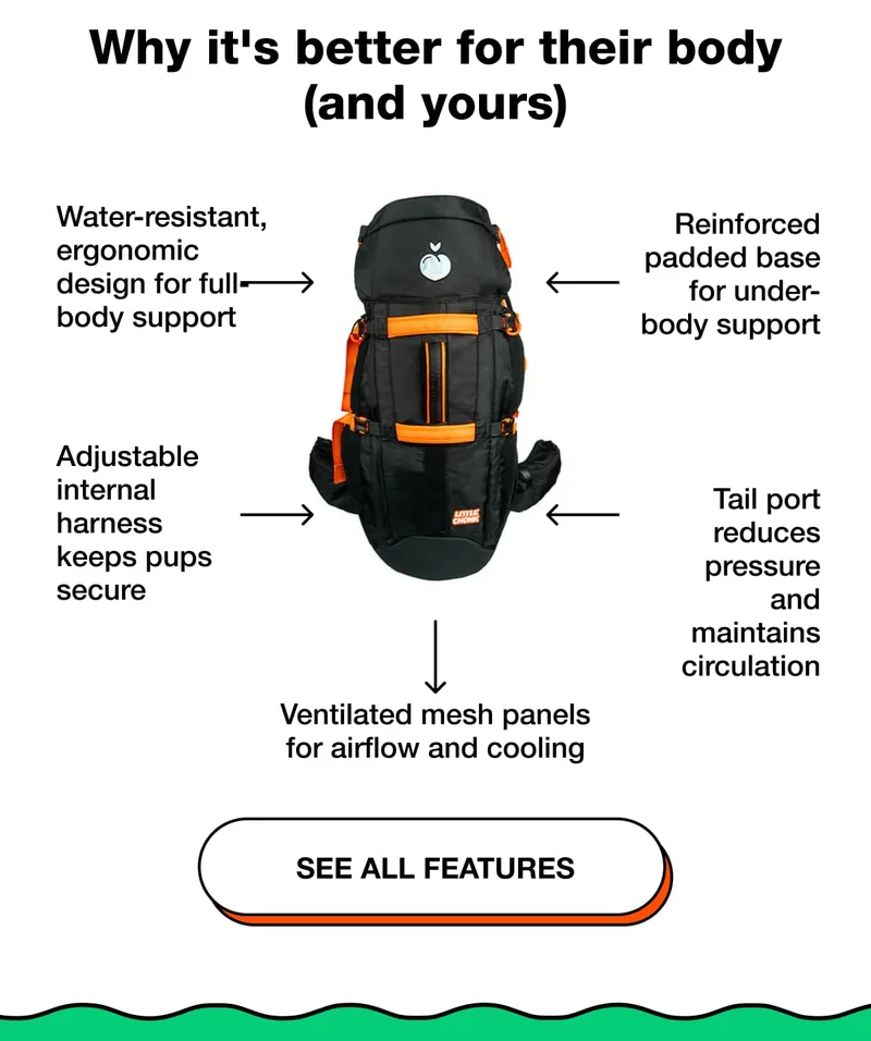 See All Features