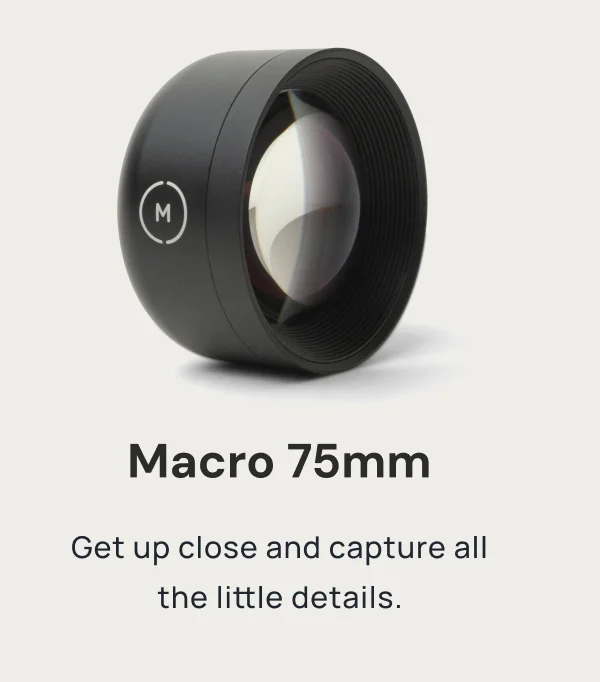 Wide 18mm Sharper than your iPhone's ultra-wide. Ideal for everyday moments.