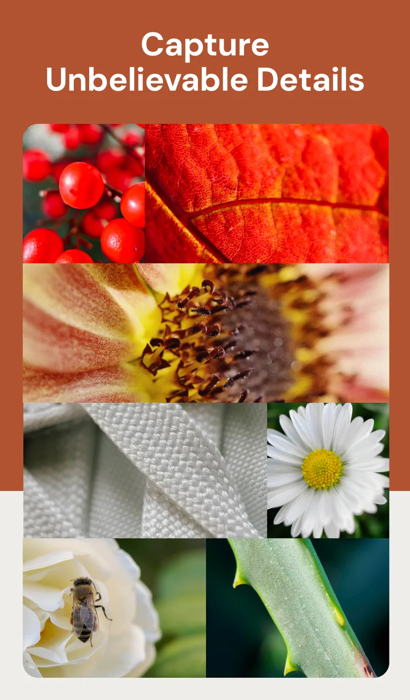 Example Photos from Moment Lenses and a call to Shop Best Sellers
