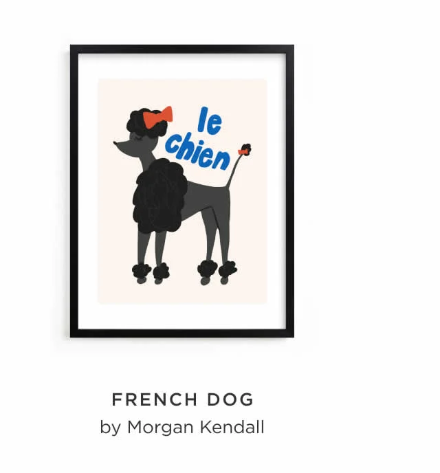 French Dog