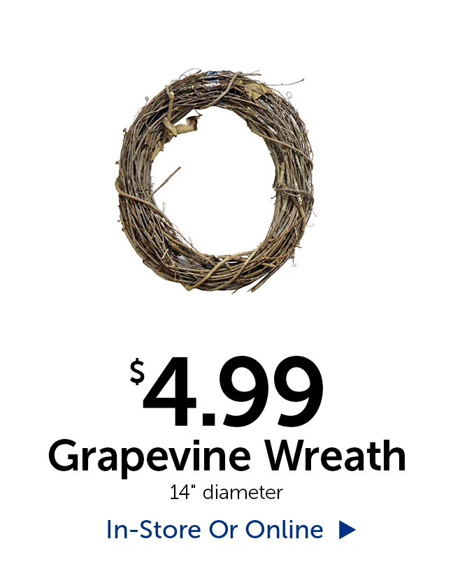 $4.99 Grapevine Wreath - 14" diameter