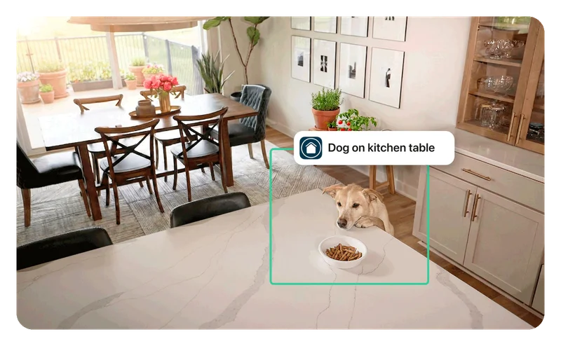 Simulated point of view image depicts a dog trying to eat a bowl of food on the kitchen table. A box highlights the dog with a simulated user interface element that says: Dog on kitchen table.
