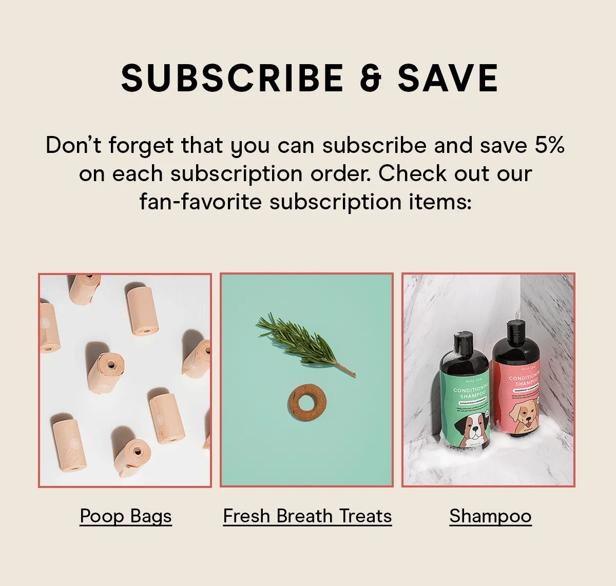 Subscribe & Save Don't forget that you can subscribe and save 5% on each subscription order. Check out our fan-favorite subscription items: