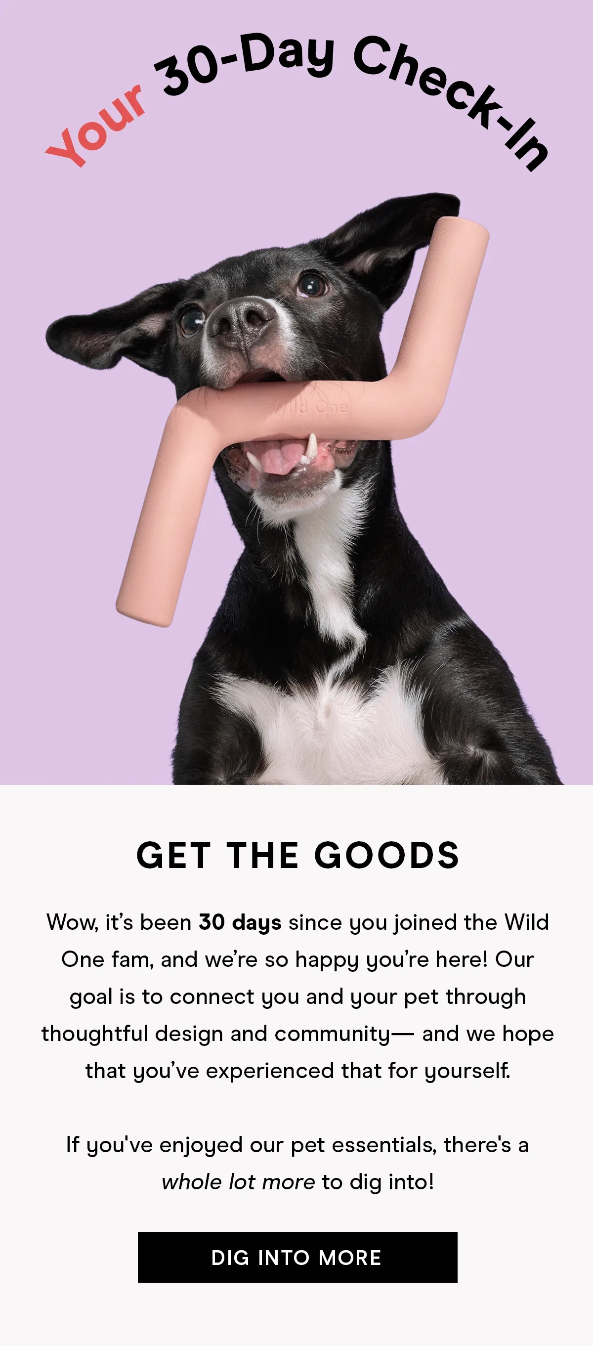Your 30-day Check-in
