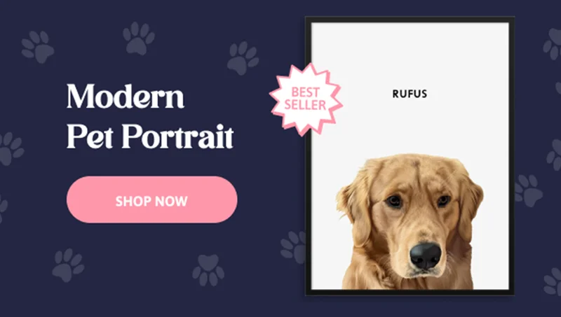 Modern Pet Portrait - One Pet