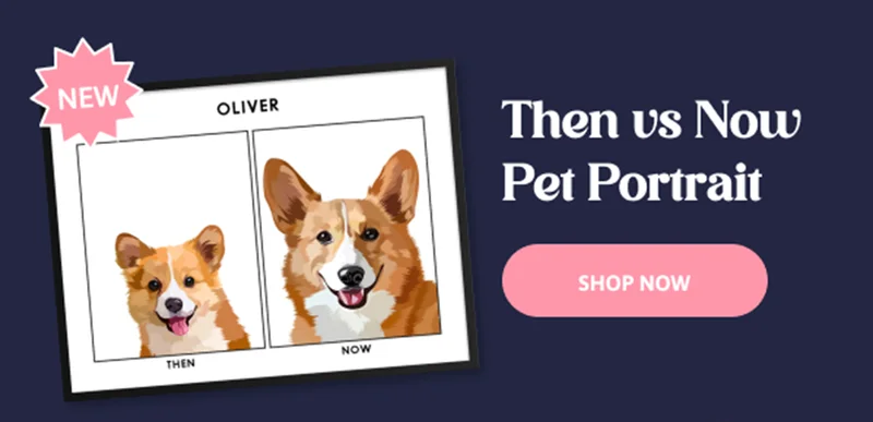 Then vs Now Double Photo Pet Portrait
