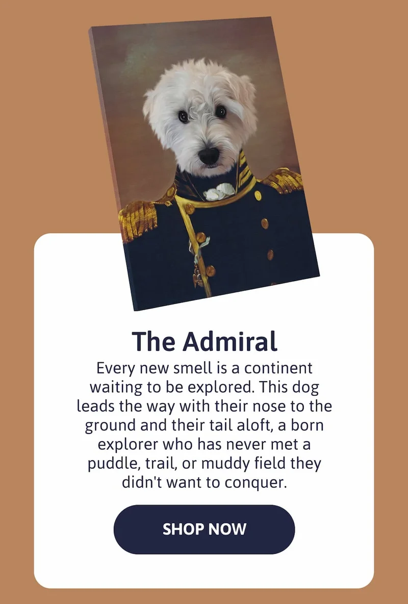 The Admiral - Every new smell is a continent waiting to be explored. This dog leads the way with their nose to the ground and their tail aloft, a born explorer who has never met a puddle, trail, or muddy field they didn't want to conquer.