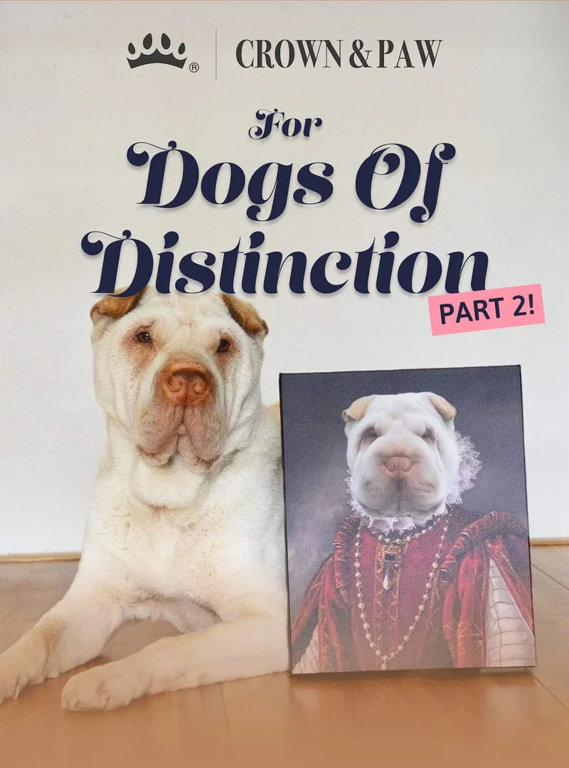 For dogs of distinction: Part 2!