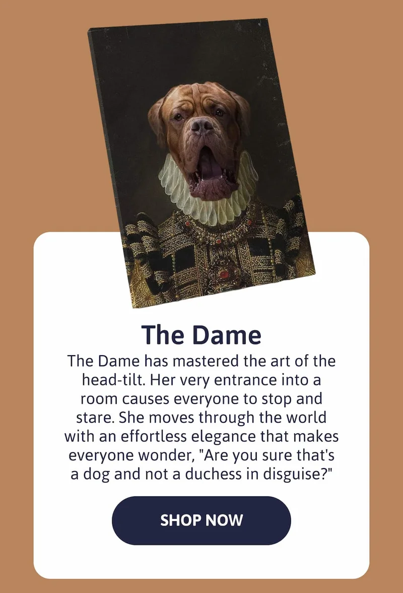 The Dame - The Dame has mastered the art of the head-tilt. Her very entrance into a room causes everyone to stop and stare. She moves through the world with an effortless elegance that makes everyone wonder, "Are you sure that's a dog and not a duchess in disguise?"