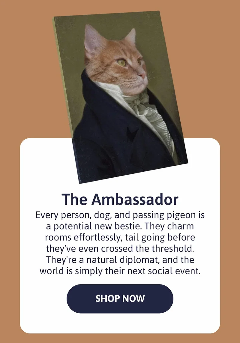 The Ambassador - Every person, dog, and passing pigeon is a potential new bestie. They charm rooms effortlessly, tail going before they've even crossed the threshold. They're a natural diplomat, and the world is simply their next social event.