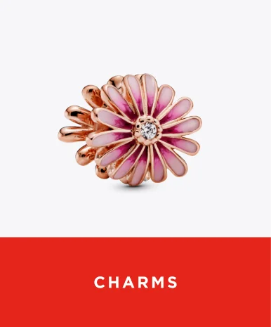shop charms