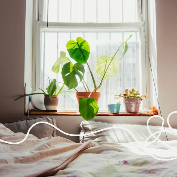 why your bedroom needs more plants why your bedroom needs more plants