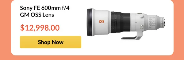 Sony FE 600mm f/4 GM OSS Lens