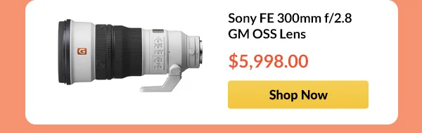 Sony FE 300mm f/2.8 GM OSS Lens