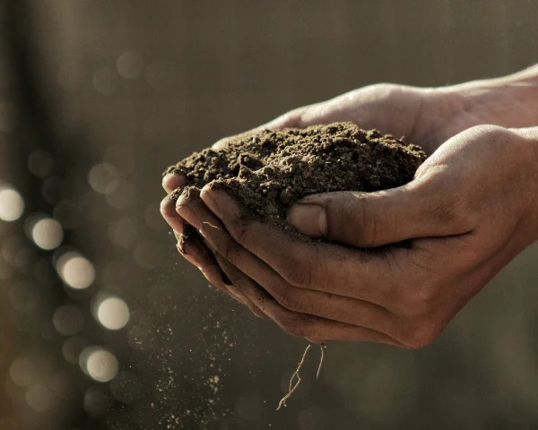 Compost