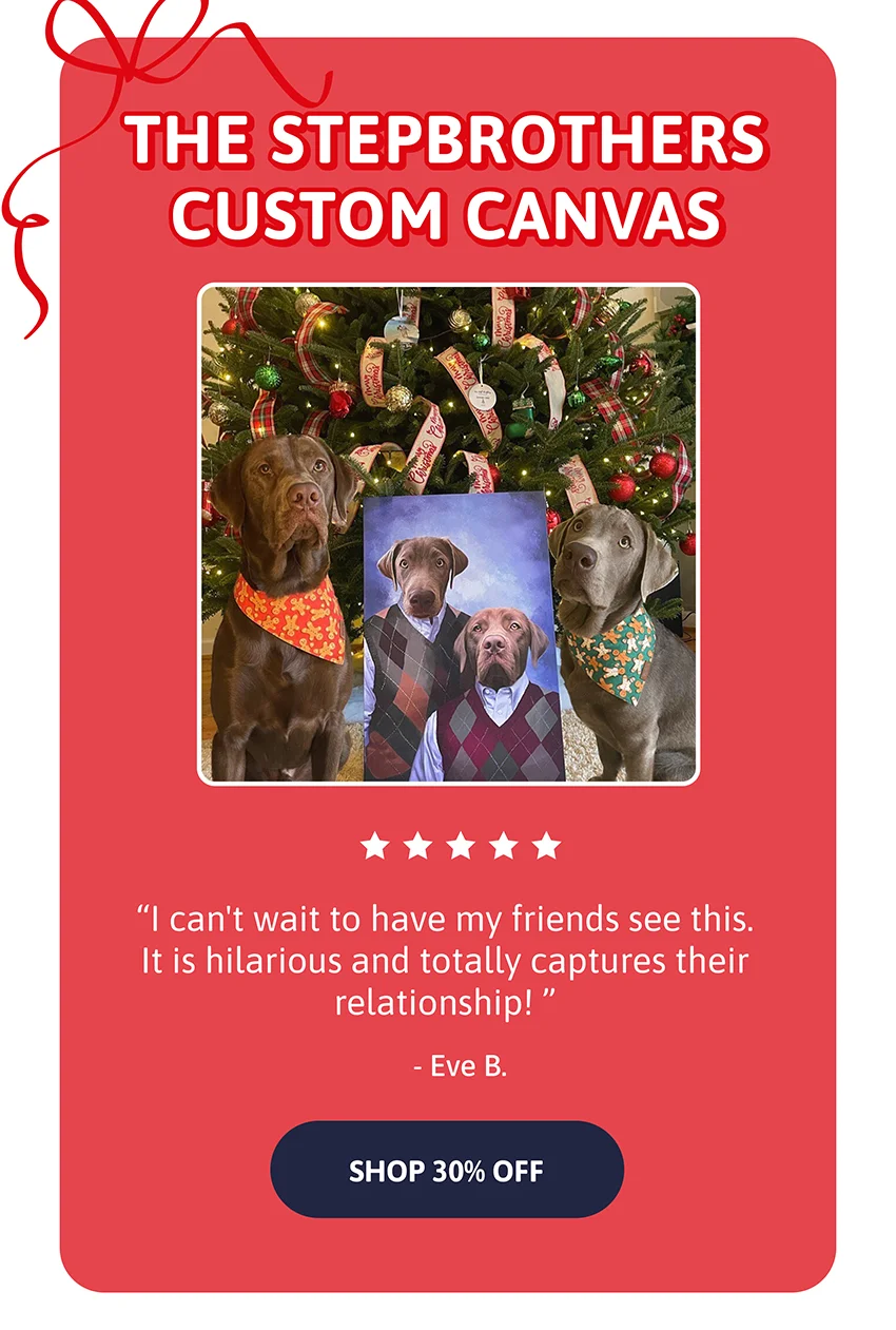 The Stepbrothers Custom Canvas. I can't wait to have my friends see this. It is hilarious and totally captures their relationship! - Eve B.