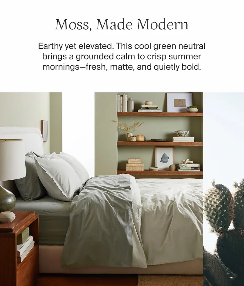Moss made modern
