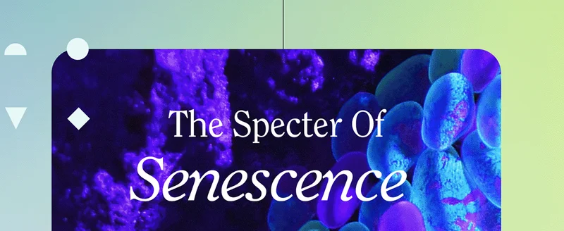 The Specter Of Senescence