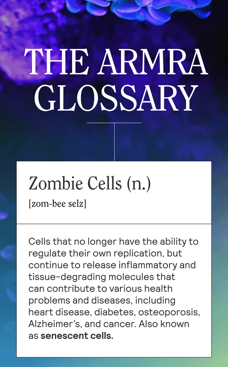 THE ARMRA GLOSSARY  Zombie Cells (n.)[zom-bee selz] Cells that no longer have the ability to regulate their own replication, but continue to release inflammatory and tissue-degrading molecules that can contribute to various health problems and diseases, including heart disease, diabetes, osteoporosis, Alzheimer’s, and cancer.  Also known as senescent cells.