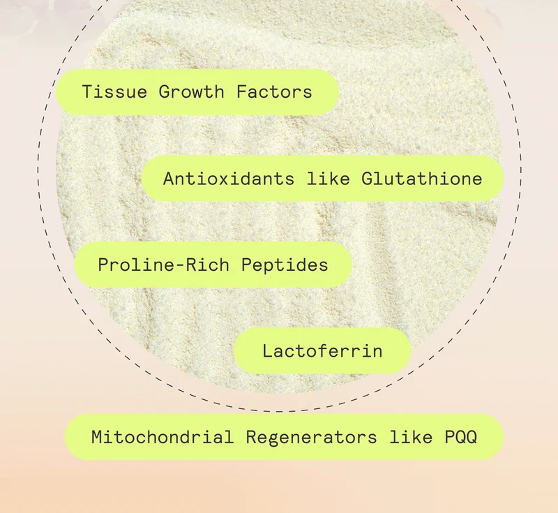 Tissue Growth Factors Antioxidants like Glutathione Proline-Rich Peptides Lactoferrin Mitochondrial Regenerators like PQQ