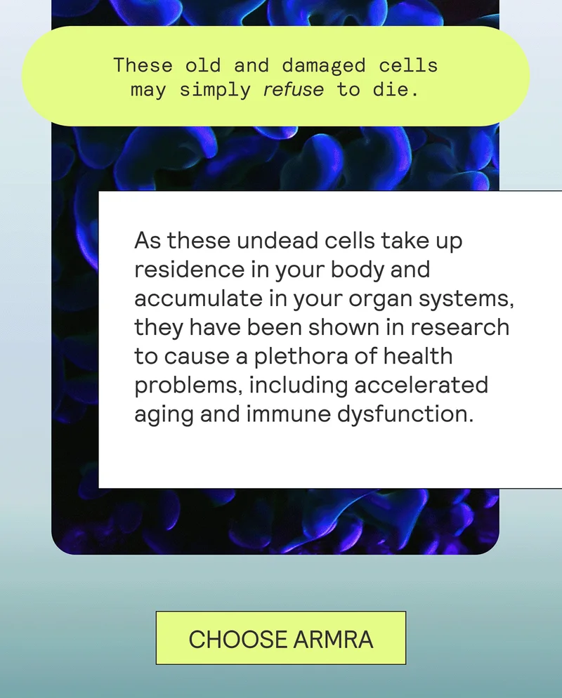 These old and damaged cells may simply refuse to die.  As these undead cells take up residence in your body and accumulate in your organ systems, they have been shown in research to cause a plethora of health problems, including accelerated aging and immune dysfunction.