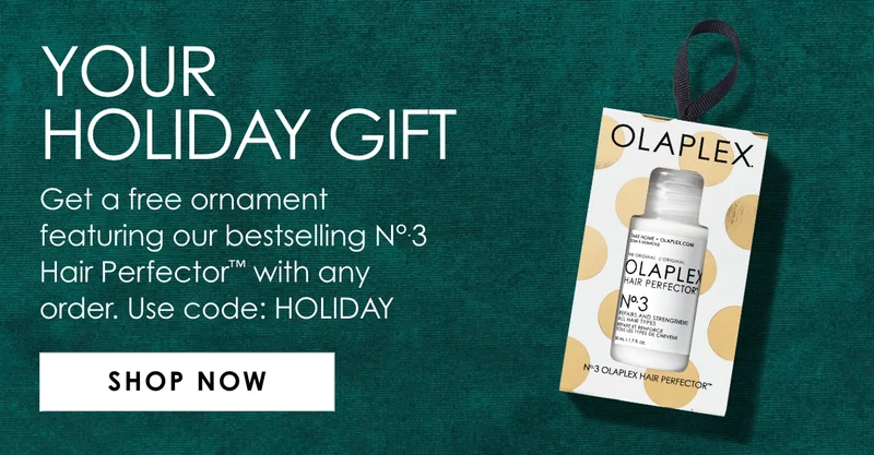Your Holiday Gift | Shop Now