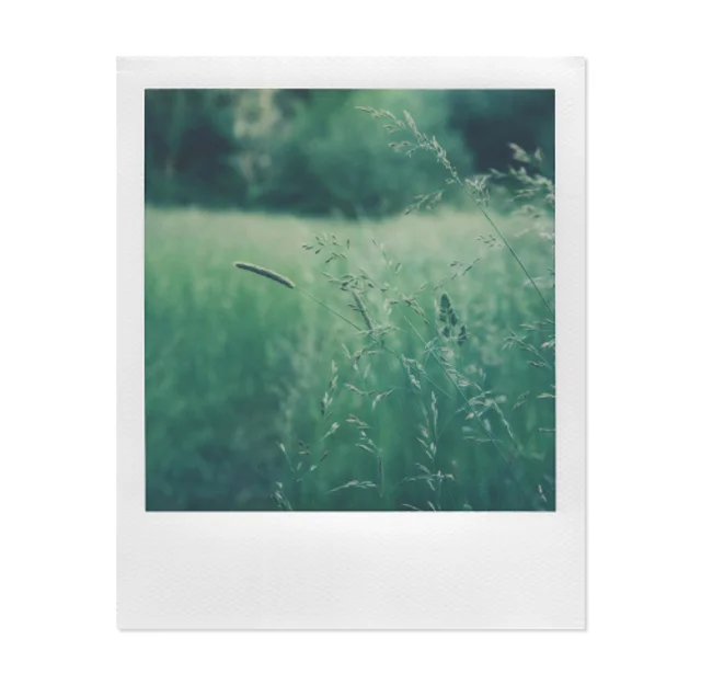 Close-ups.