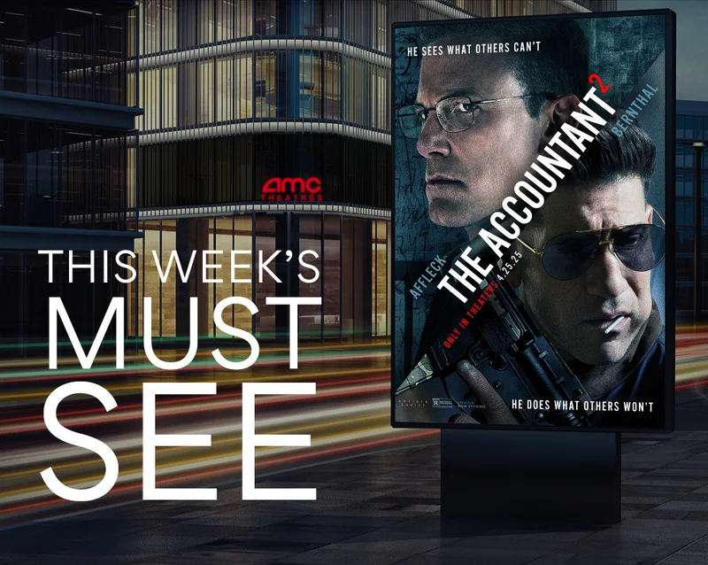 THE ACCOUNTANT 2