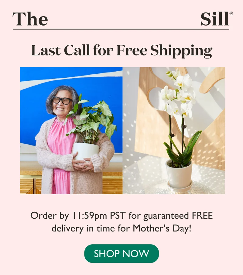 Order before 11:59pm PST for guaranteed FREE delivery in time for Mother's Day! Order now.