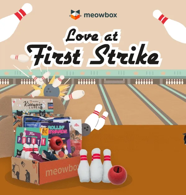 Join the game! Image of a black white spotted cat next to the Kittypin Lanes meowbox (featuring toys like the Pin Purrty 2-in-1 multipack, Rollin' Rewards puzzle feeder, Scratch & Strike multipack cat toys and more)