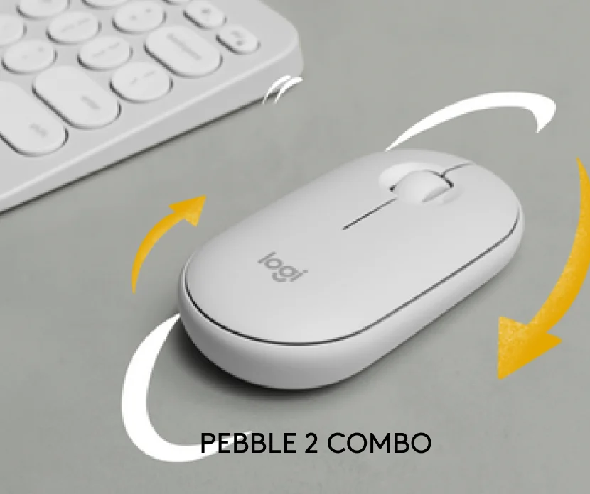 PEBBLE 2 COMBO