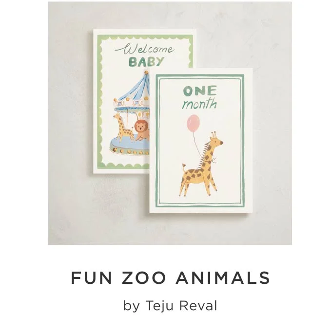 Fun Zoo Animals