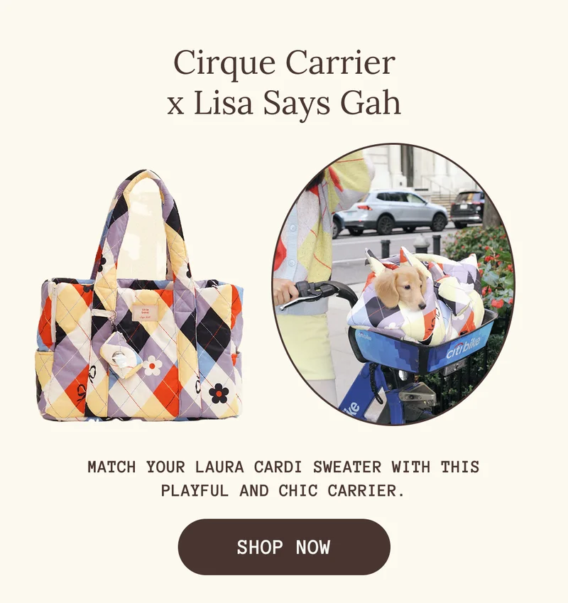 Cirque Carrier x Lisa Says Gah