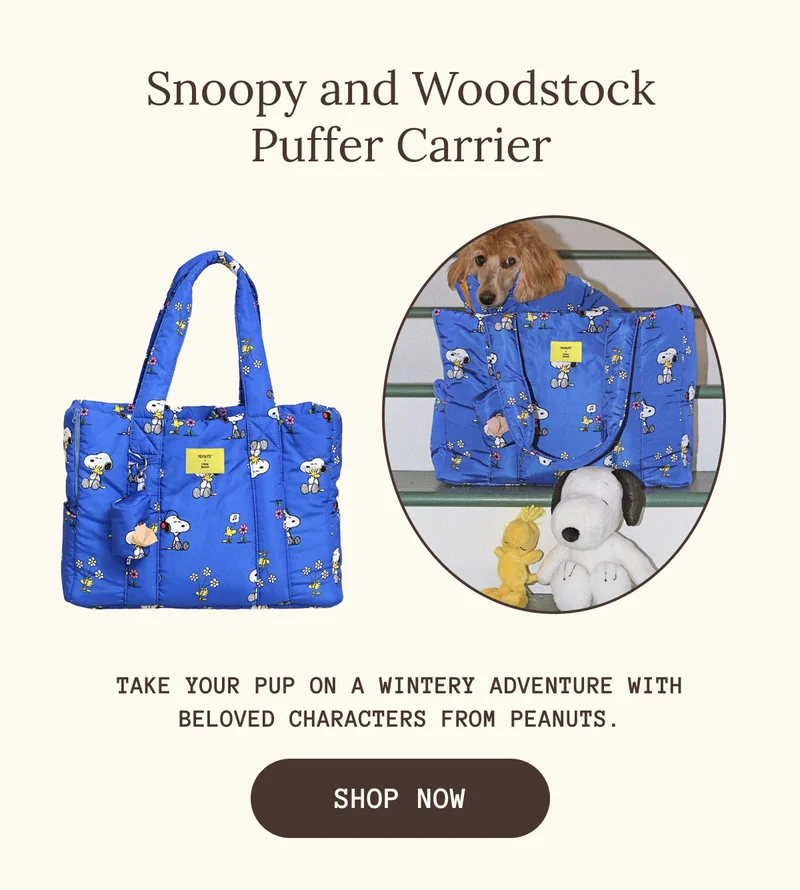 Snoopy and Woodstock Puffer Carrier