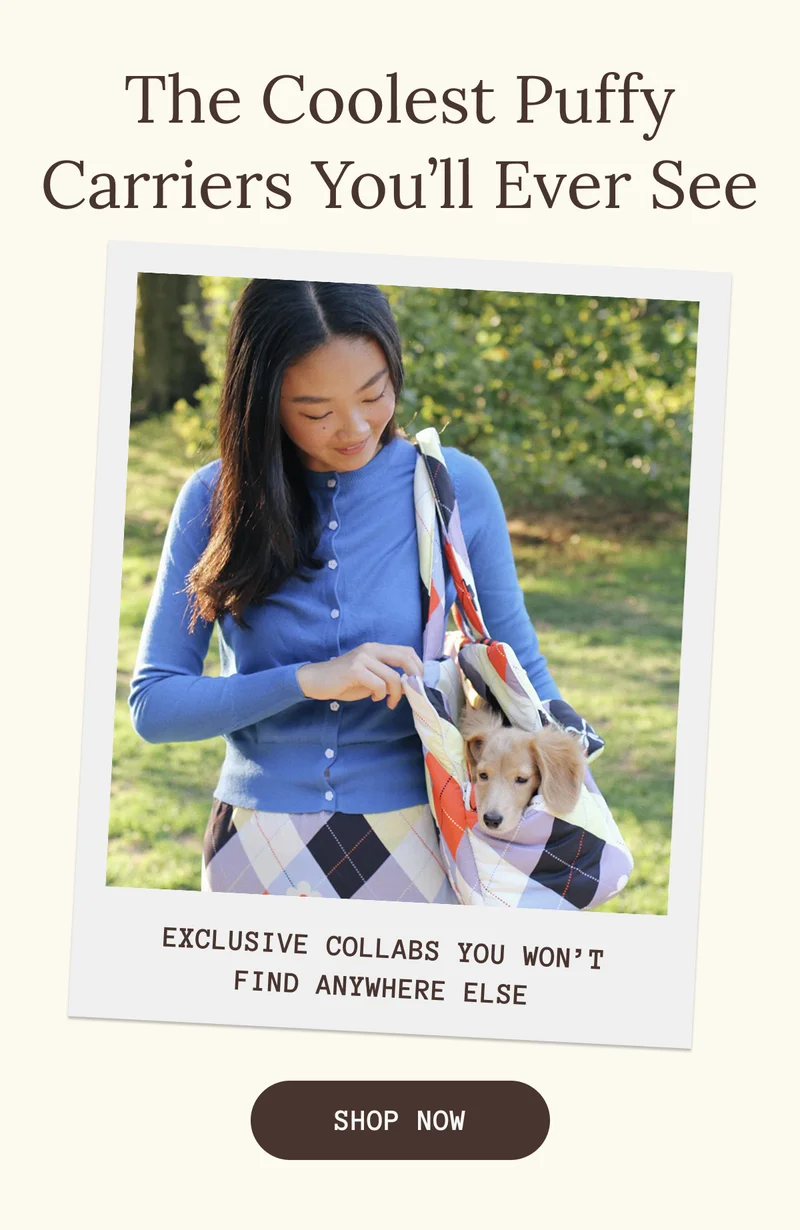 The Coolest Carriers You’ll Ever See